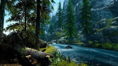 Serene Forest Stream View wallpaper