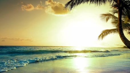 Tropical Sunset Serenity wallpaper