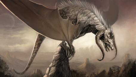 Serene Majesty of the Dragon wallpaper