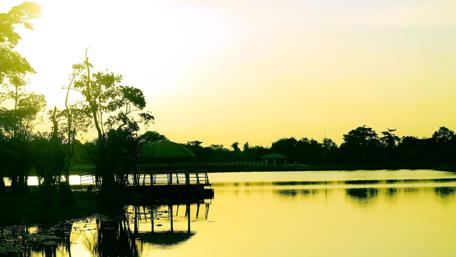 Golden Serenity by the Water's Edge wallpaper