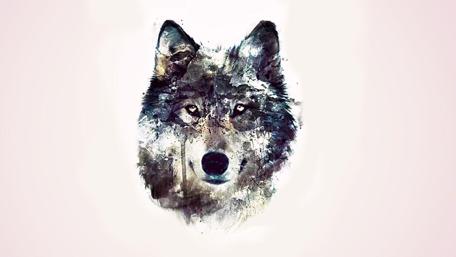 Majestic Wolf Artistry in Watercolor Design wallpaper