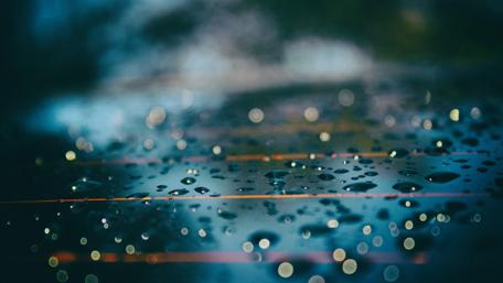 Glistening Water Drops on Surface wallpaper