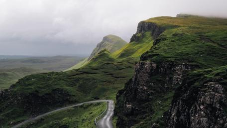 Misty Hillside Journey in Nature's Embrace wallpaper