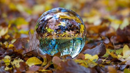 Autumn reflection wallpaper