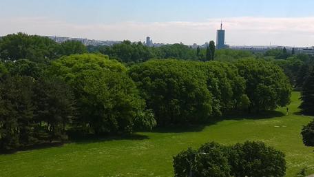 A Serene View of New Belgrade's Greenery wallpaper