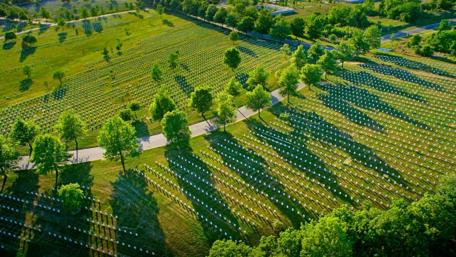 Fields of Honor and Remembrance wallpaper