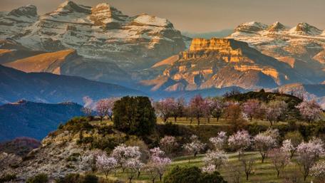 Spring Blossoms in Majestic Mountains wallpaper