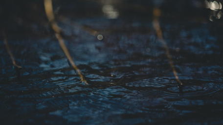 Serenity in Water Drops wallpaper