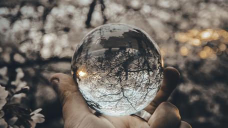 Captivating Reflection of Nature in Glass Ball wallpaper