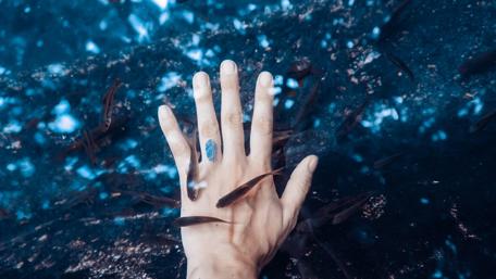 Beneath the Surface of Serenity wallpaper