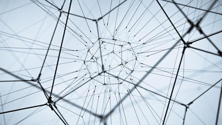 Intricate Geometric Network Design wallpaper