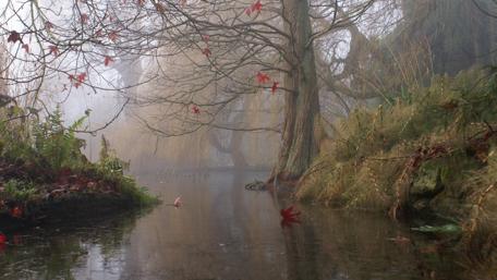 Misty Autumn Serenade wallpaper