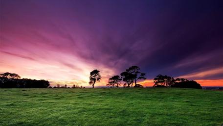 Stunning Purple Sunset Over a Serene Field wallpaper
