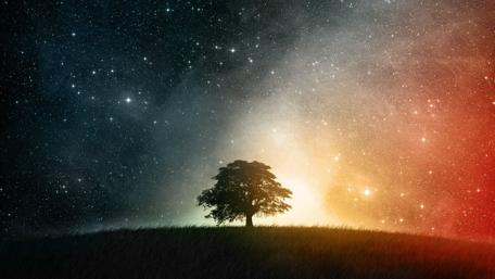 Mystical Tree Under a Starry Sky wallpaper