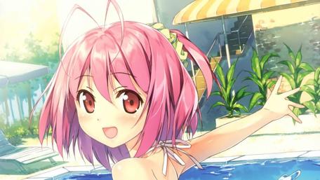 Sunny Day Anime Joy wallpaper