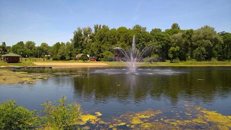 Tranquil Lake with Fountain and Lush Greenery wallpaper