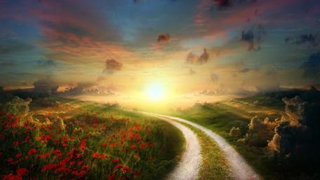 Magical Sunset Over Flower Field wallpaper