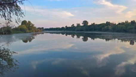 Serene Reflections in Nature's Embrace wallpaper