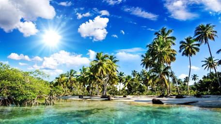 Tropical Paradise Under Bright Sunlight wallpaper
