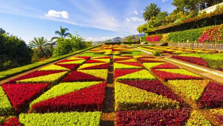 Madeira Botanical Garden wallpaper