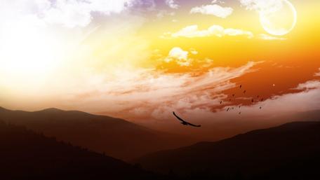 Majestic Horizon with Birds and Moonlight wallpaper