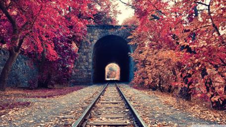 Autumn Train Tunnel in Nature’s Embrace wallpaper