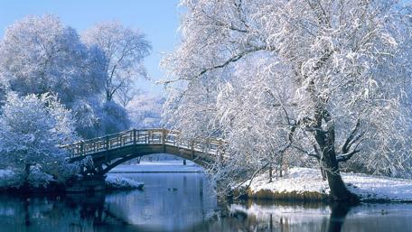 Winter Wonderland Serenity Beckons wallpaper