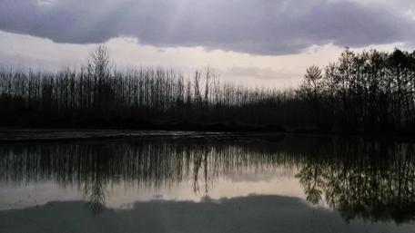 Serene Reflections of Gilan's Nature wallpaper
