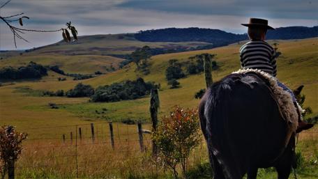 A Serene Gaucho Landscape with Horseback Rider wallpaper
