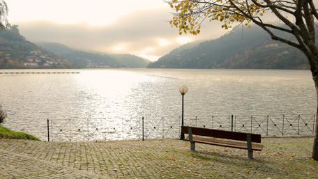 Serenity by the Lakeside Bench wallpaper