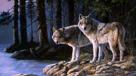 Mystic Wolves by the Lake wallpaper