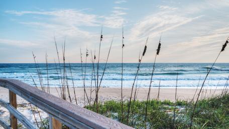 Summer Serenity at a Florida Beach wallpaper