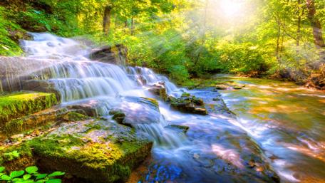 Sunlit Forest Waterfall wallpaper