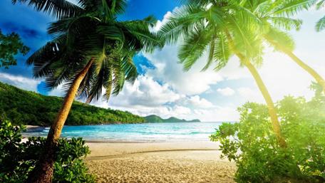 Tropical Paradise in the Summer Sun wallpaper