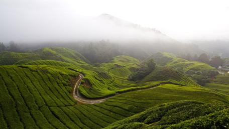 Serene Green Mountains Under Foggy Skies wallpaper