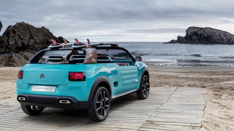 Cyan Citroen Cactus by the Sea wallpaper