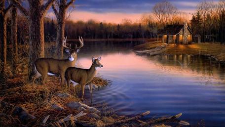 Serene Lakeside Wildlife Sanctuary wallpaper