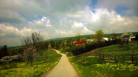 Serene Spring Village Road Scene wallpaper