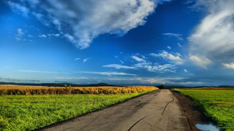 Golden Fields Road under Vibrant Sky wallpaper