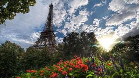 Eiffel Tower at Sunrise in Bloom wallpaper