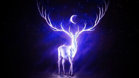 Majestic Stag Under the Moonlight wallpaper