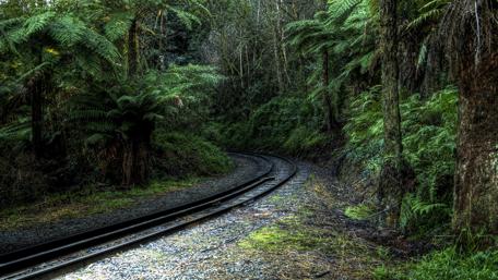 Tropical Railway Journey Through Lush Greenery wallpaper