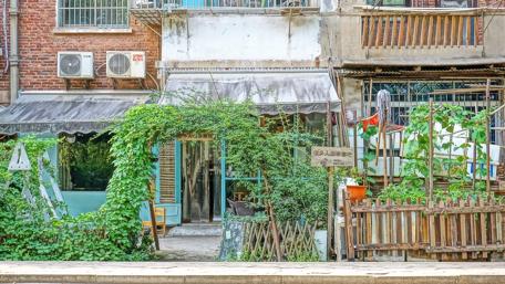 Charming Bookstore Nestled in Nature wallpaper