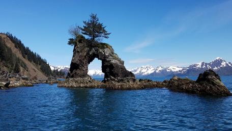 Arch in the Wilderness wallpaper