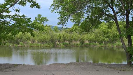Serene Lakeside Escape for Nature Lovers wallpaper