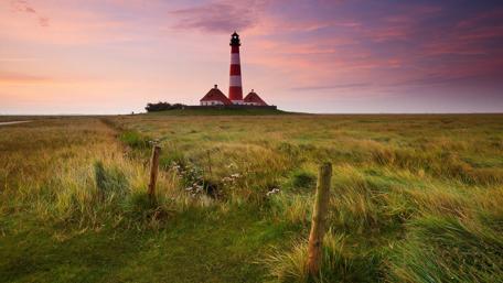 Guiding Light in Serene Meadow wallpaper