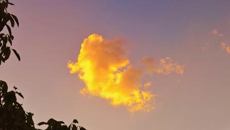 Golden Clouds at Sunrise Glow in the Sky wallpaper