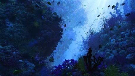 Underwater Serenity in the Ocean Depths wallpaper