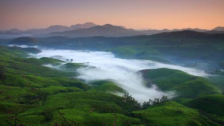 Misty Hills at Dawn wallpaper