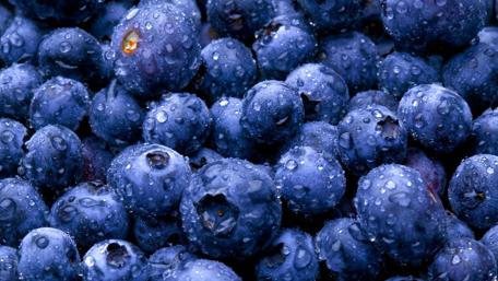 Vibrant Blueberries Glistening in Freshness wallpaper